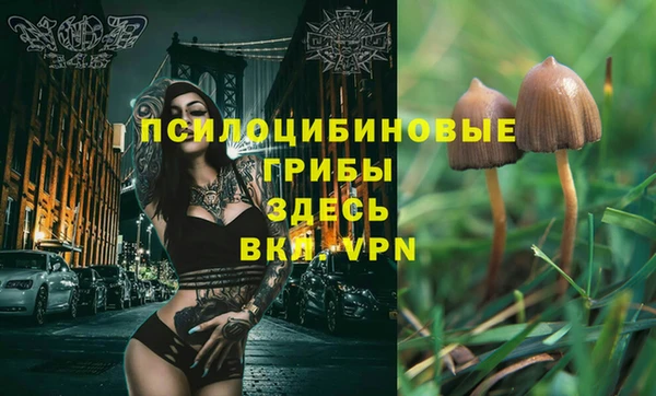 прущая мука Киреевск
